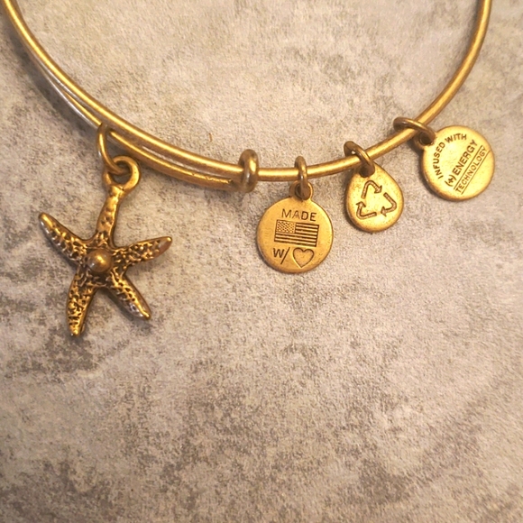 Alex and Ani Bracelet Set - Picture 3 of 4